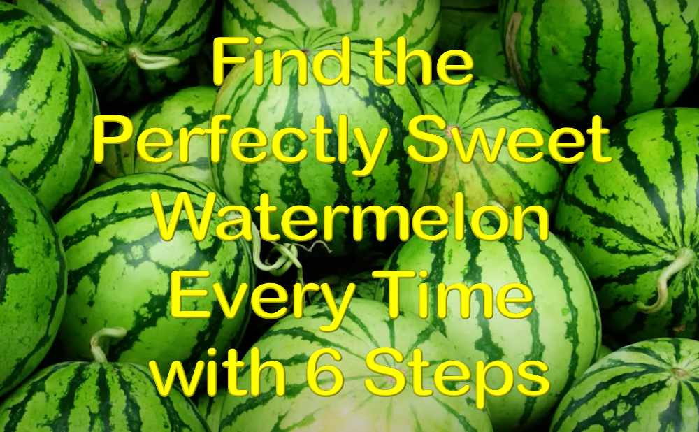 Find the Perfectly Sweet Watermelon Every Time - 7 Steps