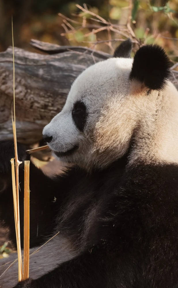 The Secret to Buying Things You’ll Actually Use and Love